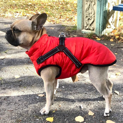 🐶Hot Sale 50% OFF🔥3 in 1 Winter Waterproof Warm Dog Jacket With Built-in Harness
