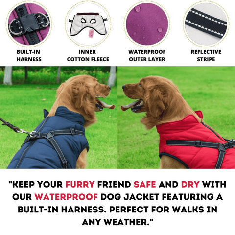 🐶Hot Sale 50% OFF🔥3 in 1 Winter Waterproof Warm Dog Jacket With Built-in Harness