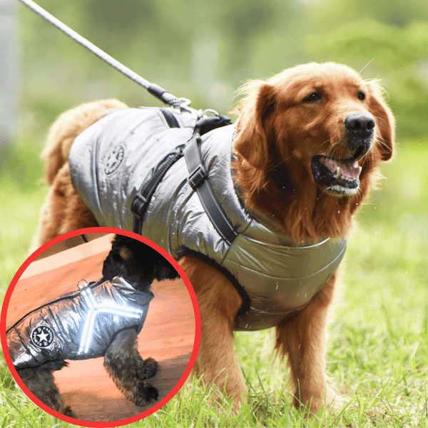 🐶Hot Sale 50% OFF🔥3 in 1 Winter Waterproof Warm Dog Jacket With Built-in Harness