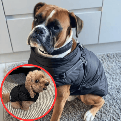 🐶Hot Sale 50% OFF🔥3 in 1 Winter Waterproof Warm Dog Jacket With Built-in Harness