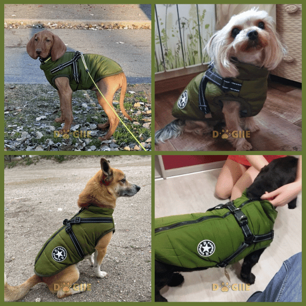 🐶Hot Sale 50% OFF🔥3 in 1 Winter Waterproof Warm Dog Jacket With Built-in Harness