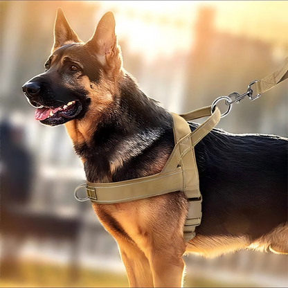 🐕💪 50% ОТСТЪПКА! Здрава тактическа каишка за кучета – без дърпане, без задушаване. 🛡️✨