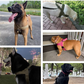 🐕💪 50% ОТСТЪПКА! Здрава тактическа каишка за кучета – без дърпане, без задушаване. 🛡️✨