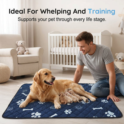 🐶4-layer, leak-proof dog pee pad – washable and reusable💧